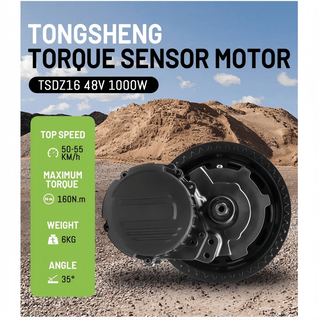 TONGSHENG TSDZ16 48V 1000W Ele - Mid Drive Conversion Kit 1000W review and price