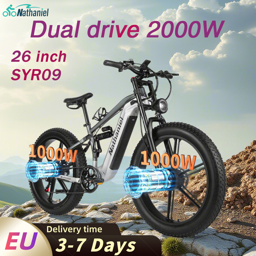 Nathaniel SYR09 Electric Bike  - Dual Motor Ebike Kit 2000W review and price