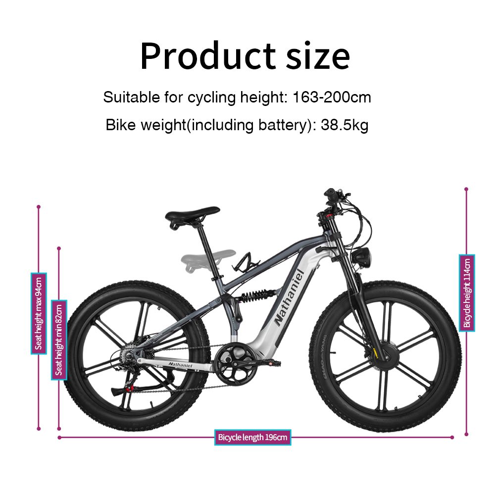 Nathaniel SYR09 Electric Bike  - Dual Motor Ebike Kit 2000W review and price