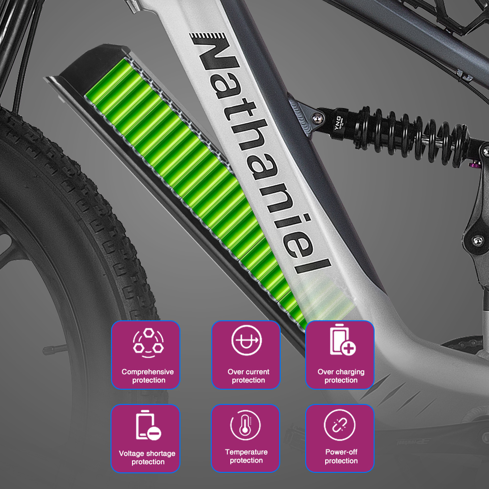 Nathaniel SYR09 Electric Bike  - Dual Motor Ebike Kit 2000W review and price
